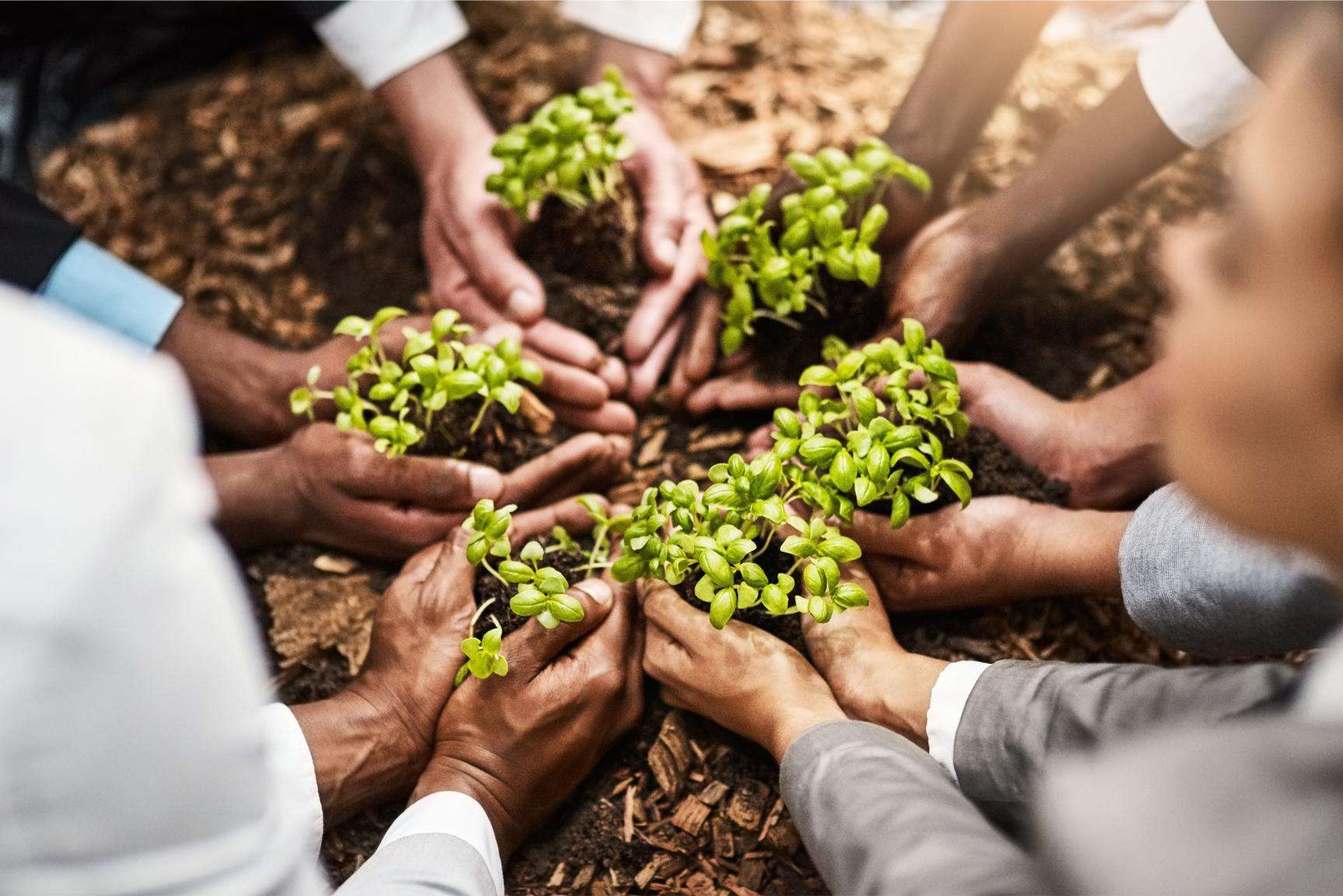 Construction Environmental Policy - Ben Murphy Construction